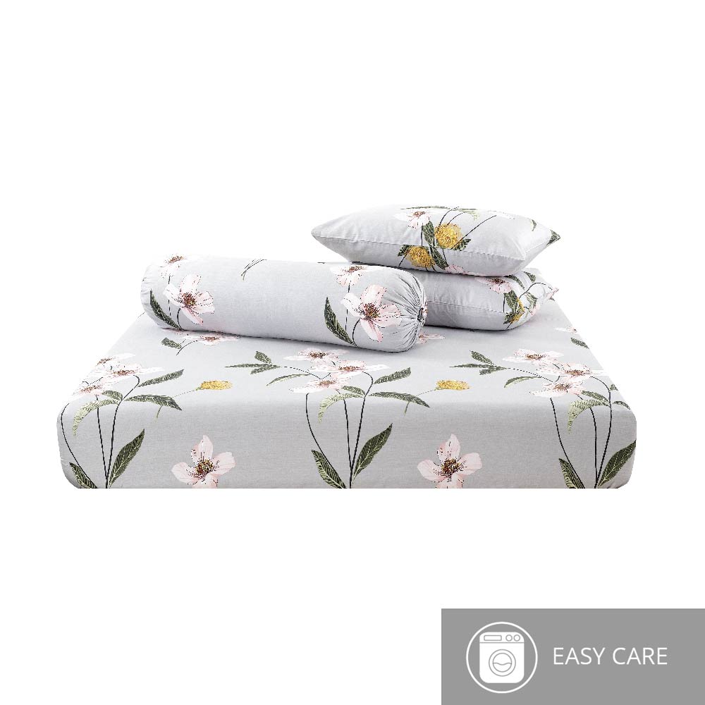 Contempo Regina 100% Cotton Fitted Sheet Set - Aussino Malaysia